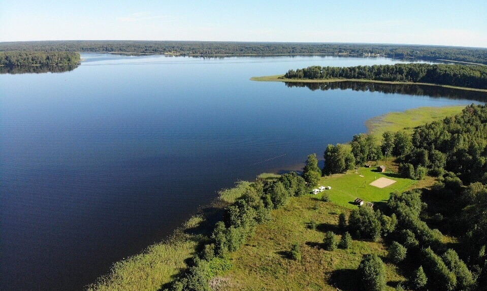 Фото У озера