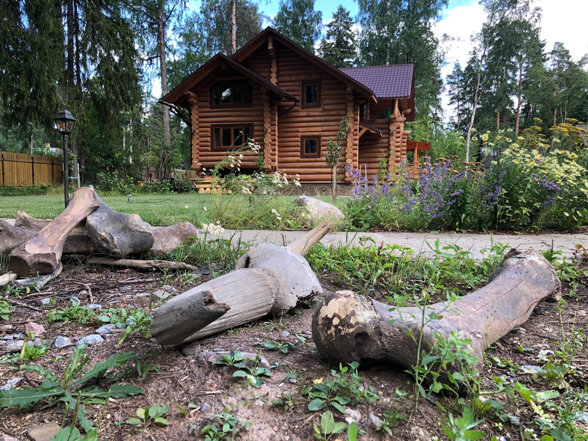 Фото Вырицкий мамонт