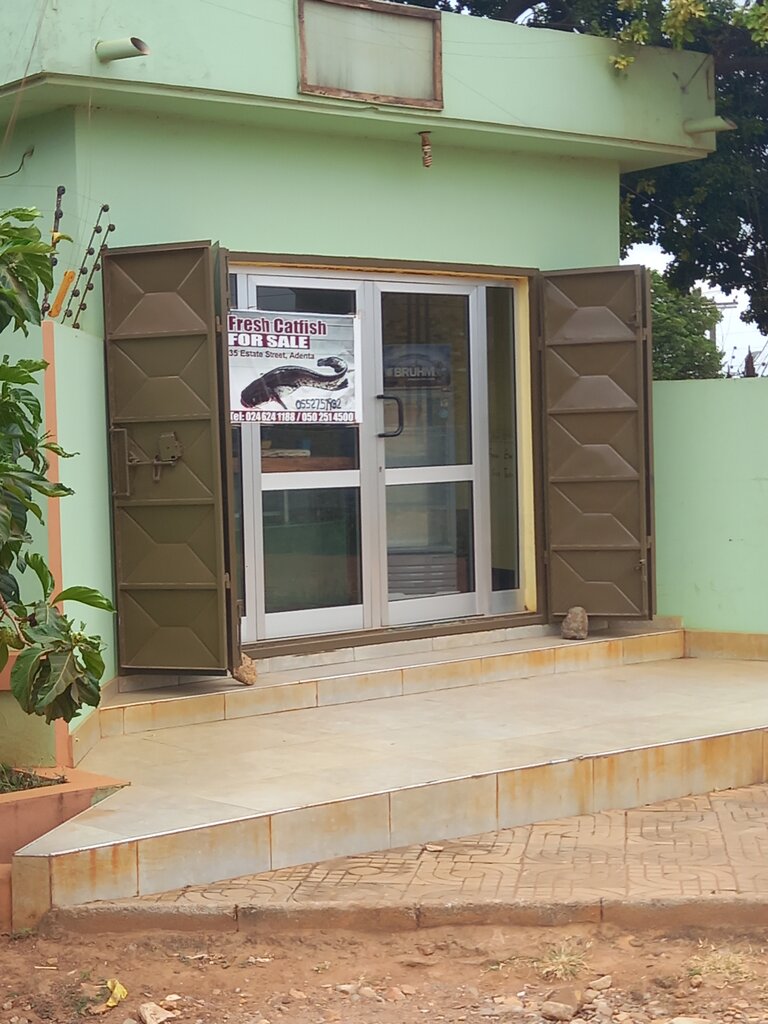 Fish and seafood Catfish Store, Earth, photo