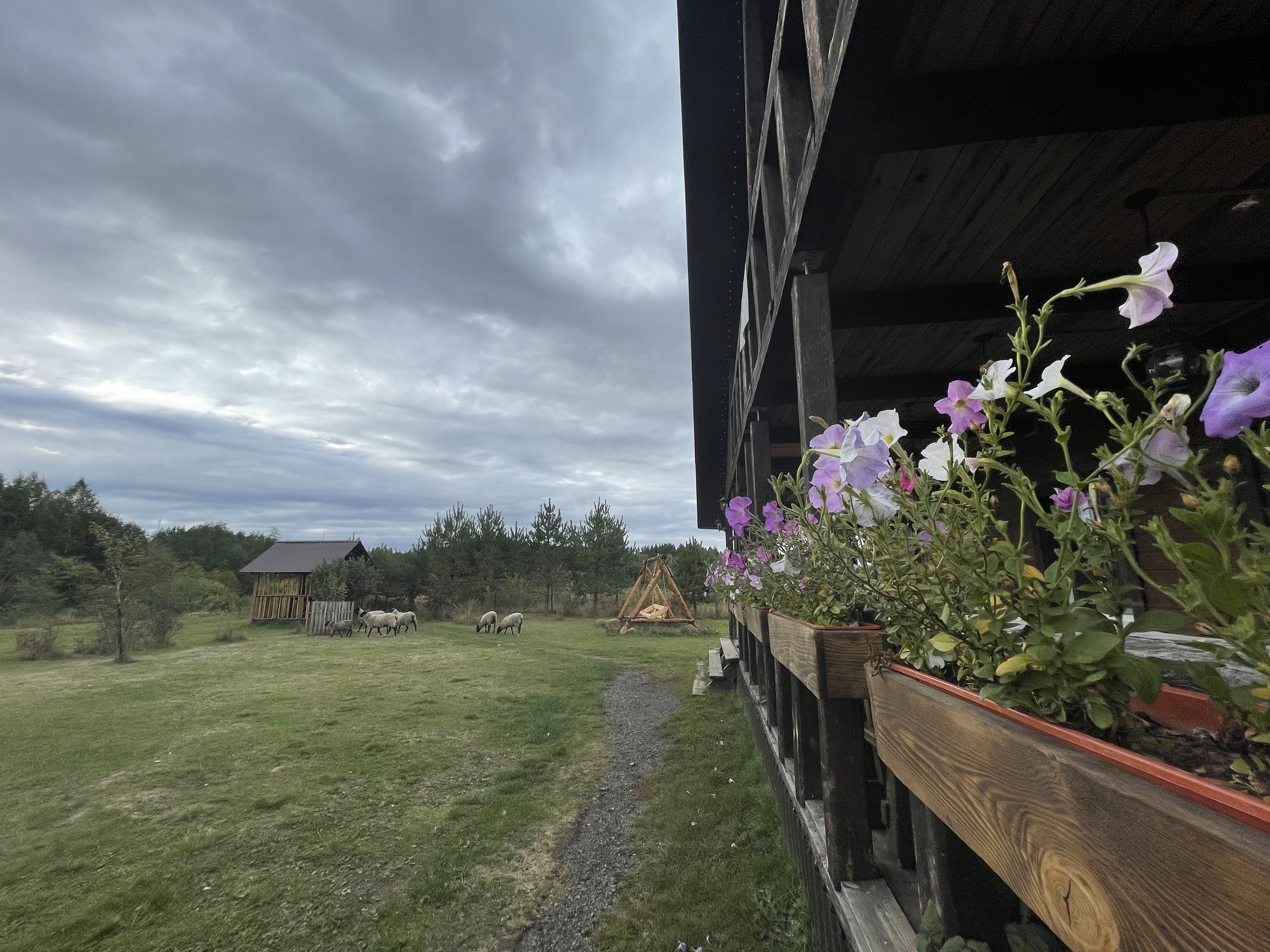 Фото Агроусадьба Павлова