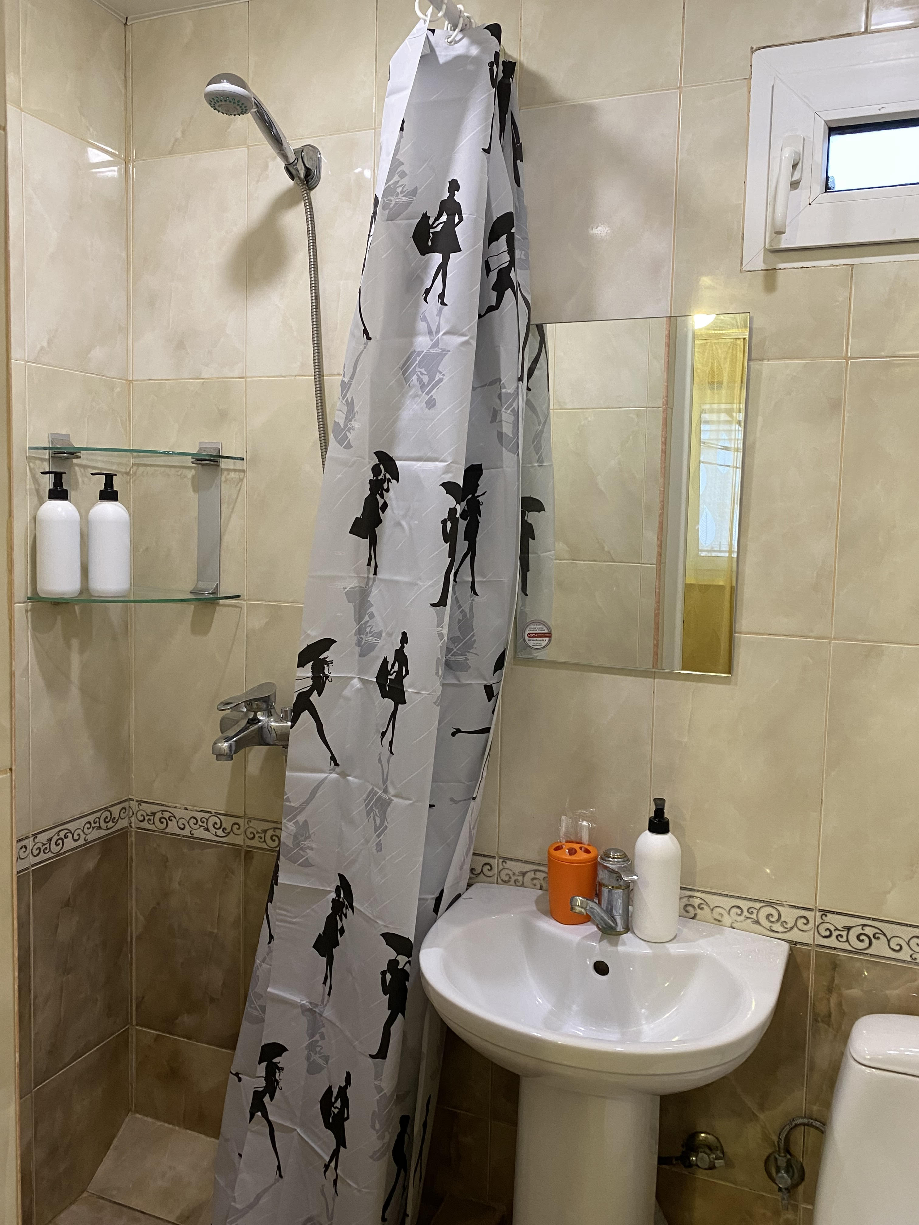 Фото Кипарис