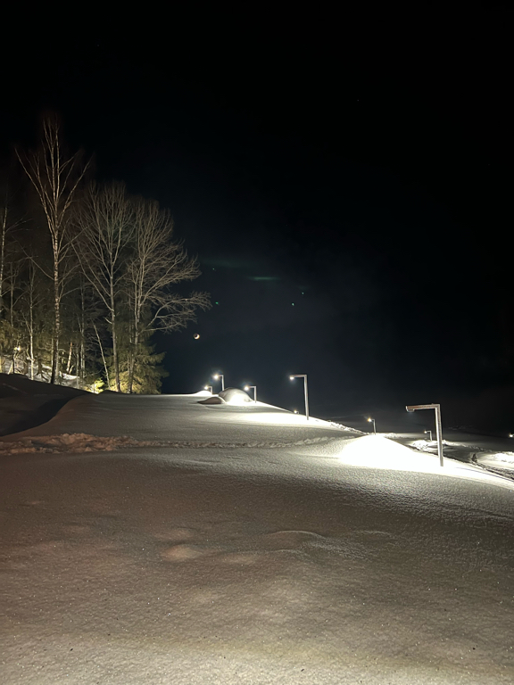 Фото Шелест