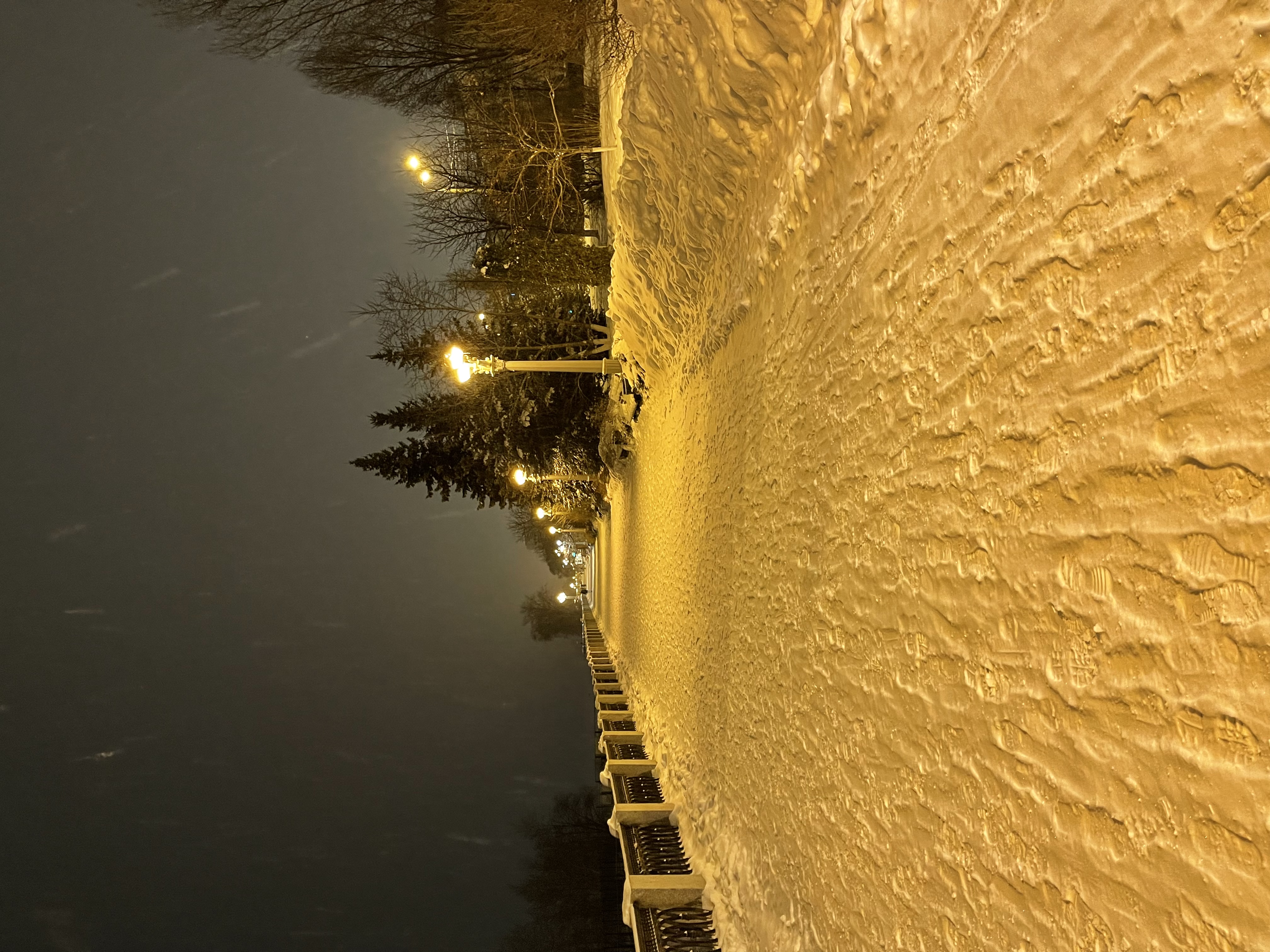 Фото Граф Орлов