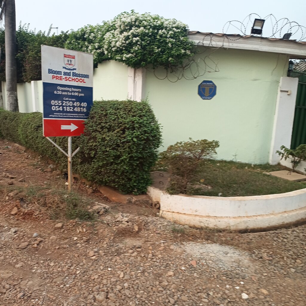 Kindergarten, nursery Bloom And Blossom Preschool, Earth, photo