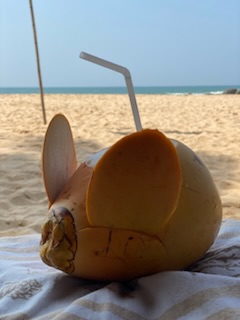 Фото J Ambalangoda