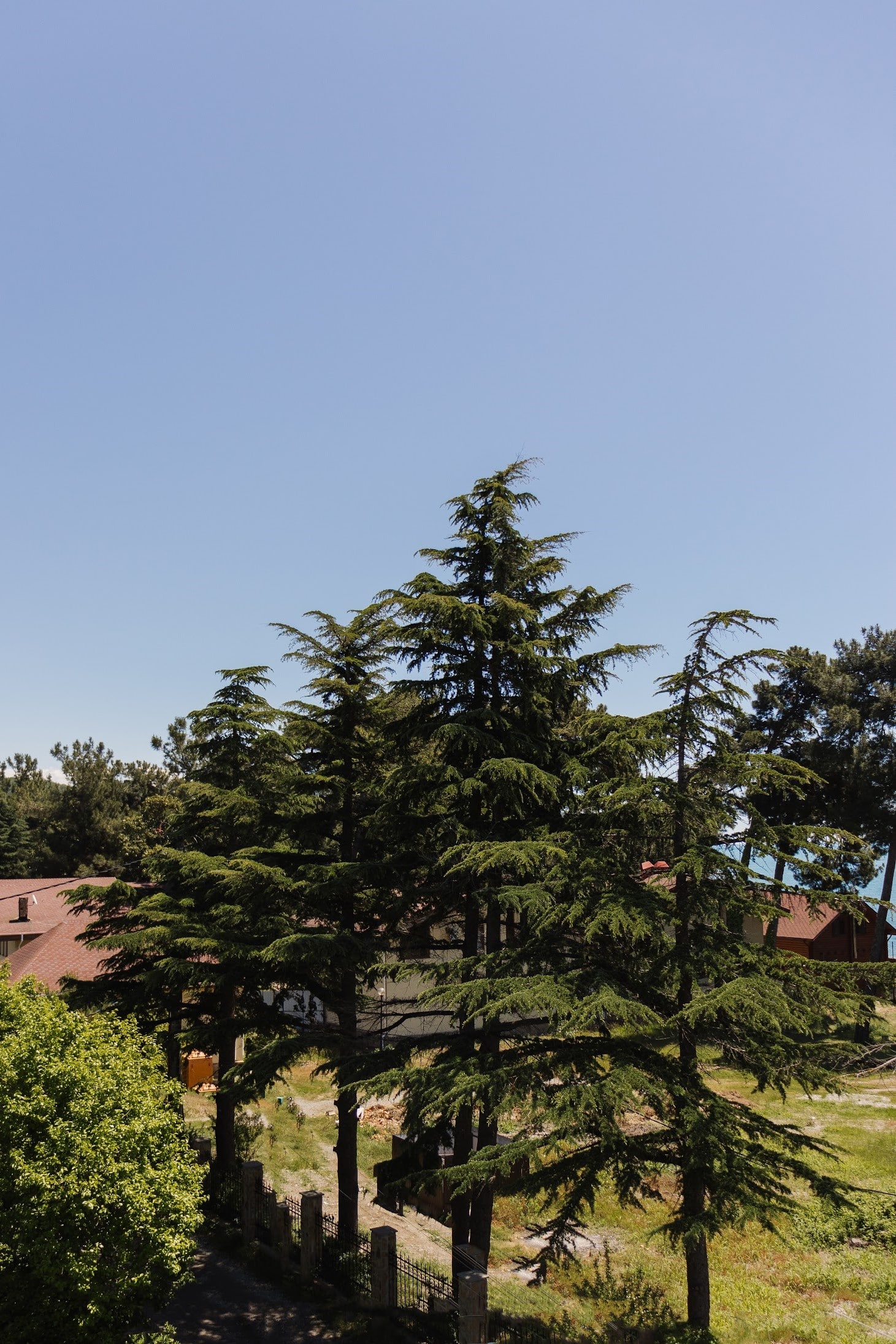 Фото Талион