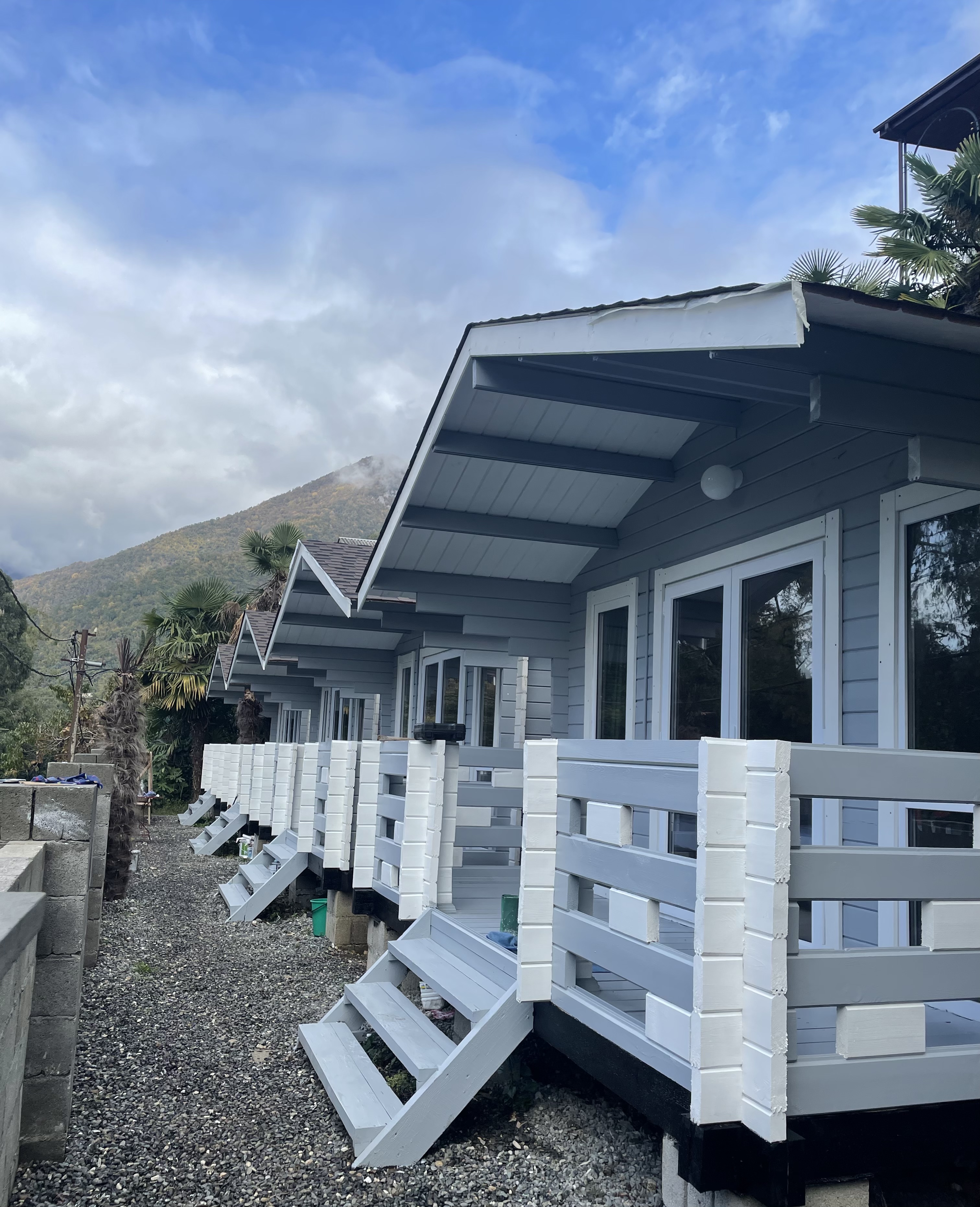 Фото Наши любимые