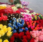 Taksim Çiçekçi Buket (İstanbul, Beyoğlu, Kocatepe Mah., Abdülhak Hamit Cad., 9), flower shop