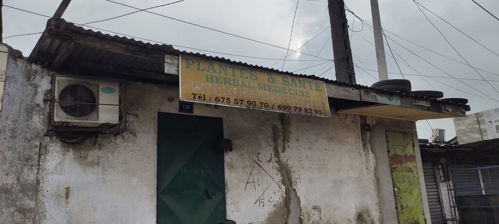 Phytoproducts, dietary supplements Plante & Santé Herbal Médécine, Douala, photo