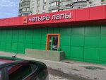Четыре Лапы (Kargopolskaya Street, 11к1) ، متجر للحيوانات الأليفة