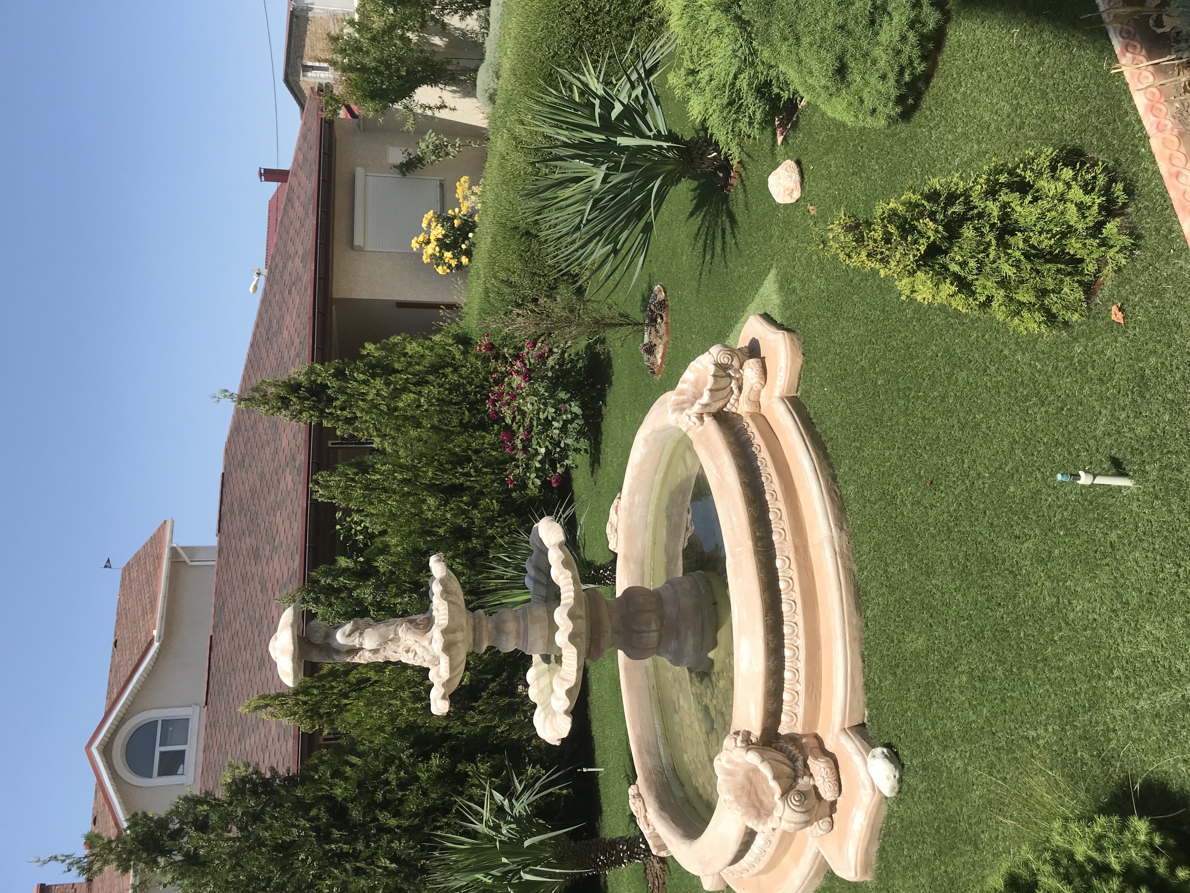 Фото Легкий Бриз