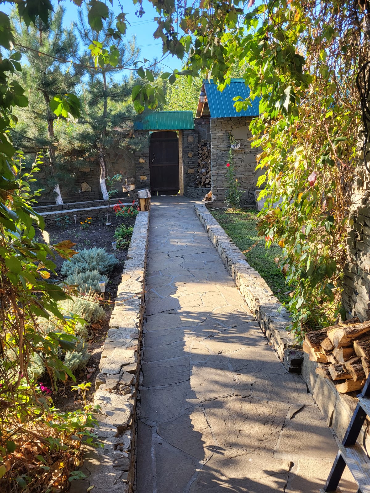 Фото Сказка