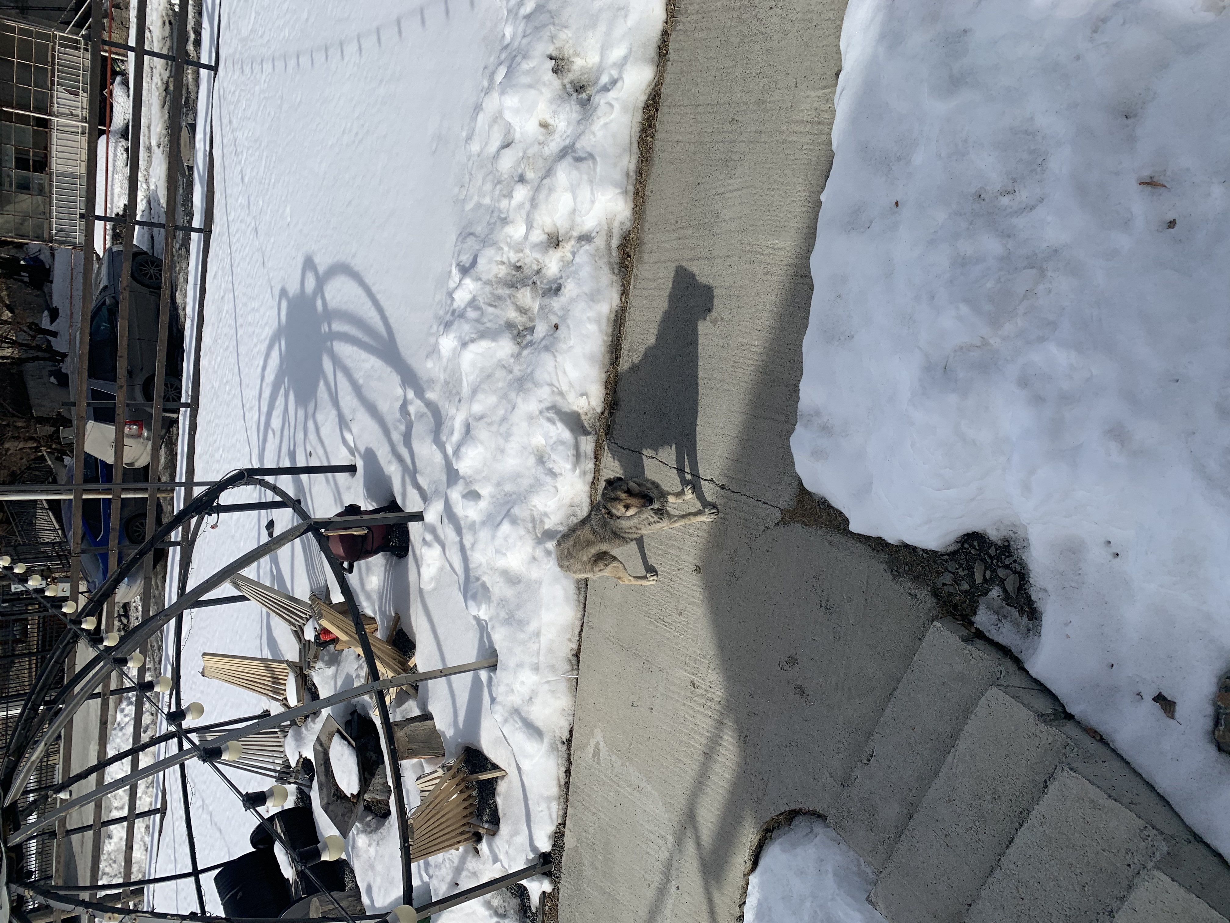 Фото Landscapes Hotel