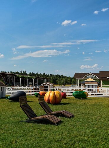 Гостиница Horseka resort, Москва и Московская область, фото