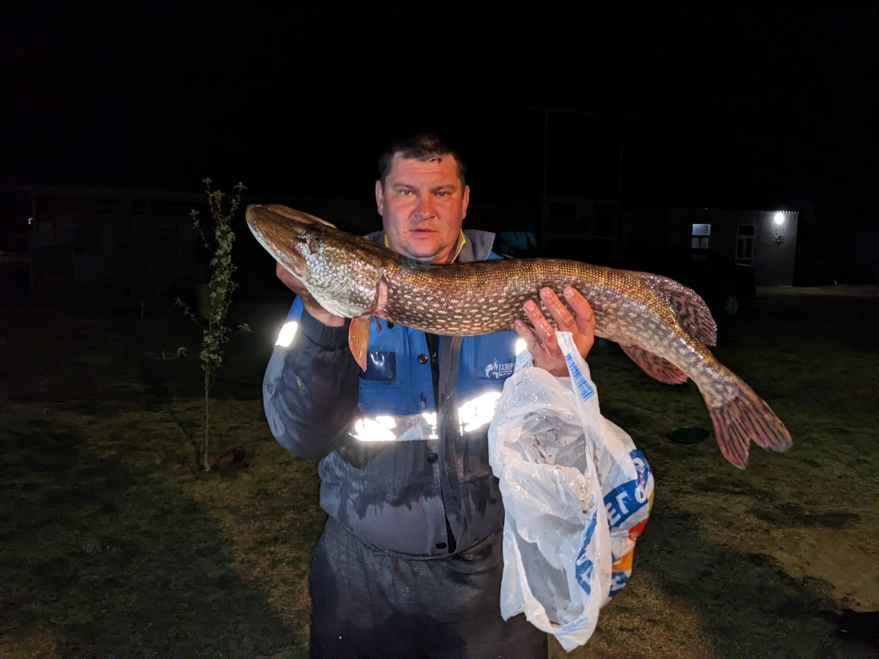 Фото База Серая