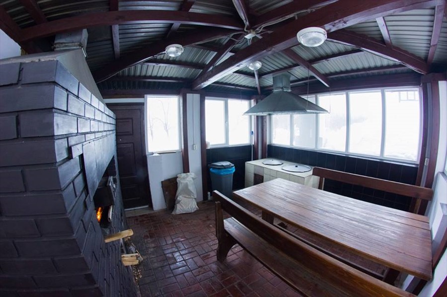 Фото Алая роза