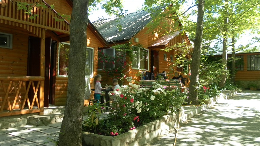 Фото Солнечное Море