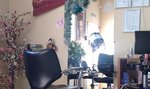 Серебряная кошка (Sem Vetrov Neighbourhood, 30 Let Pobedy Boulevard, 31), beauty salon