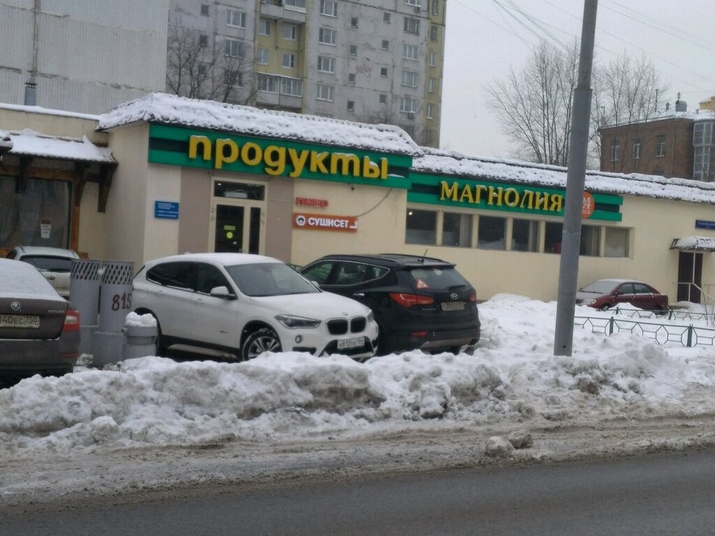 Supermarket Magnolia, Moscow, photo