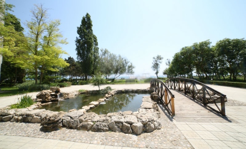 Фото Возрождение