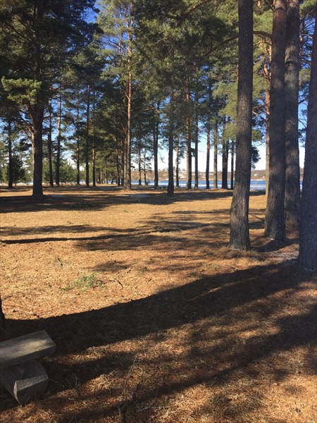 Фото Green Gold Park