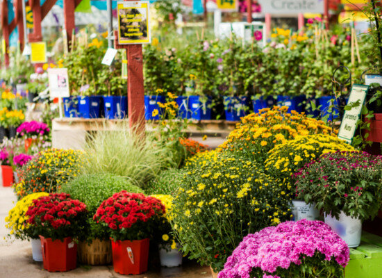 Flowers and bouquets delivery Floridea, Lombardy, photo