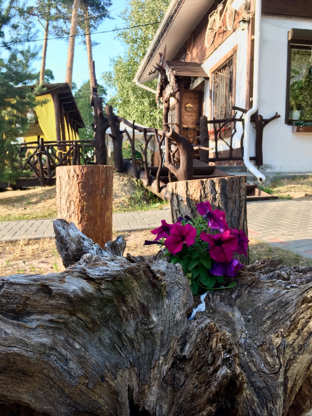 Фото Лесной бункер