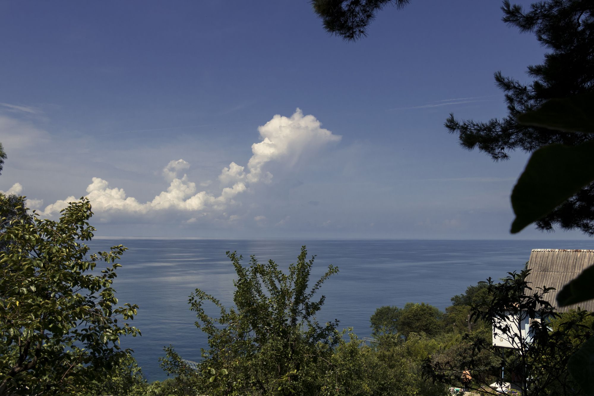 Фото Сосновый Бор