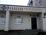 Камелия (ulitsa Kirova, 18), flower shop