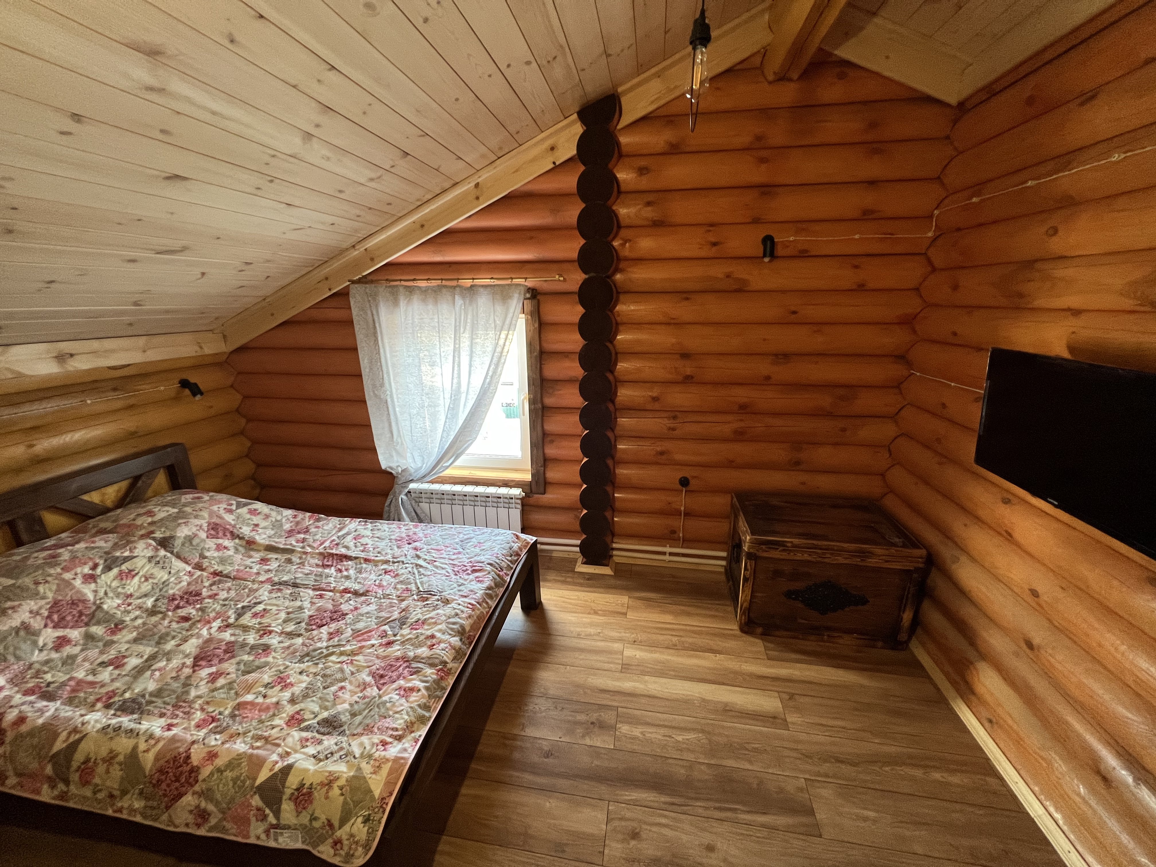 Фото Медоед