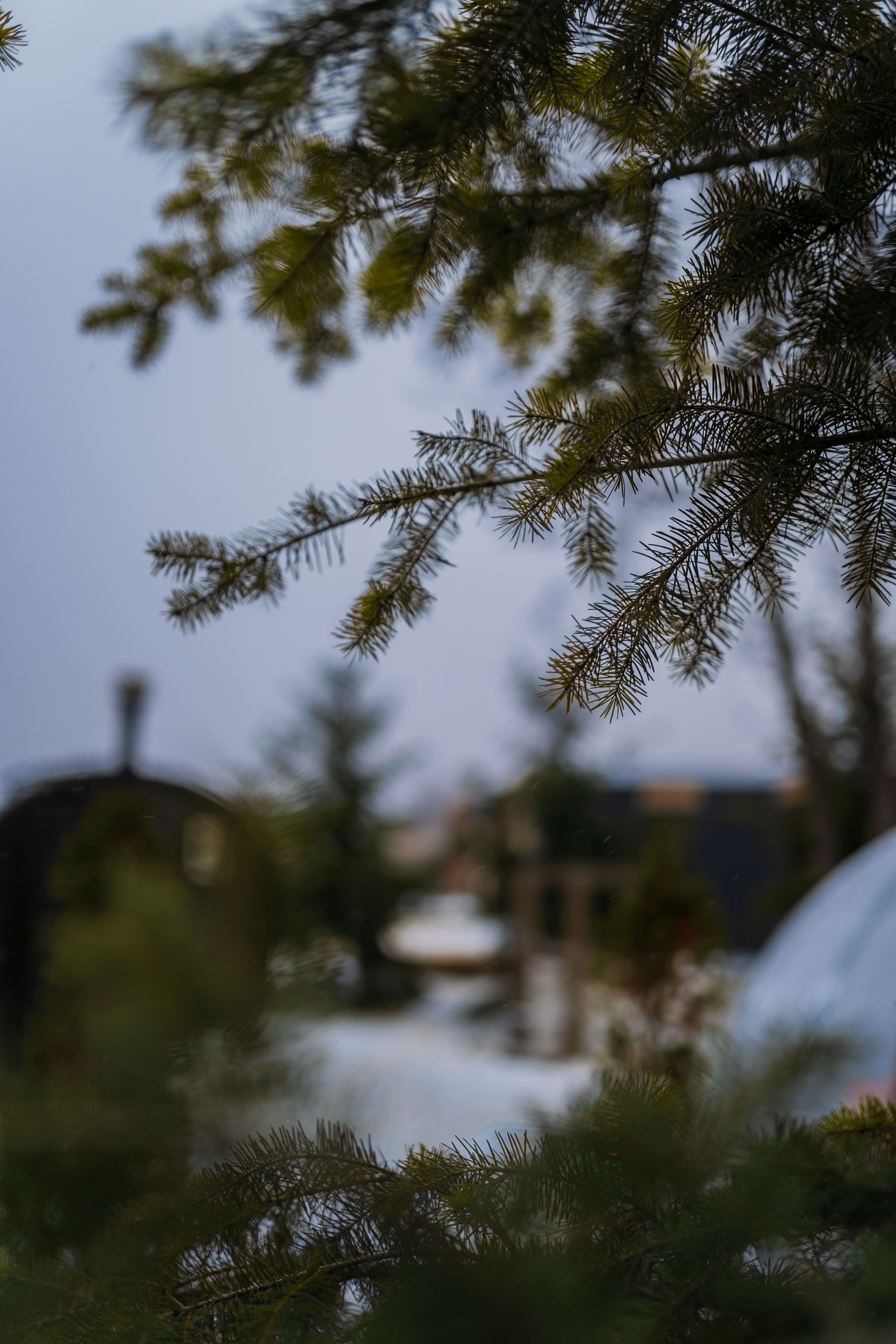 Фото Заимка ГринПарк