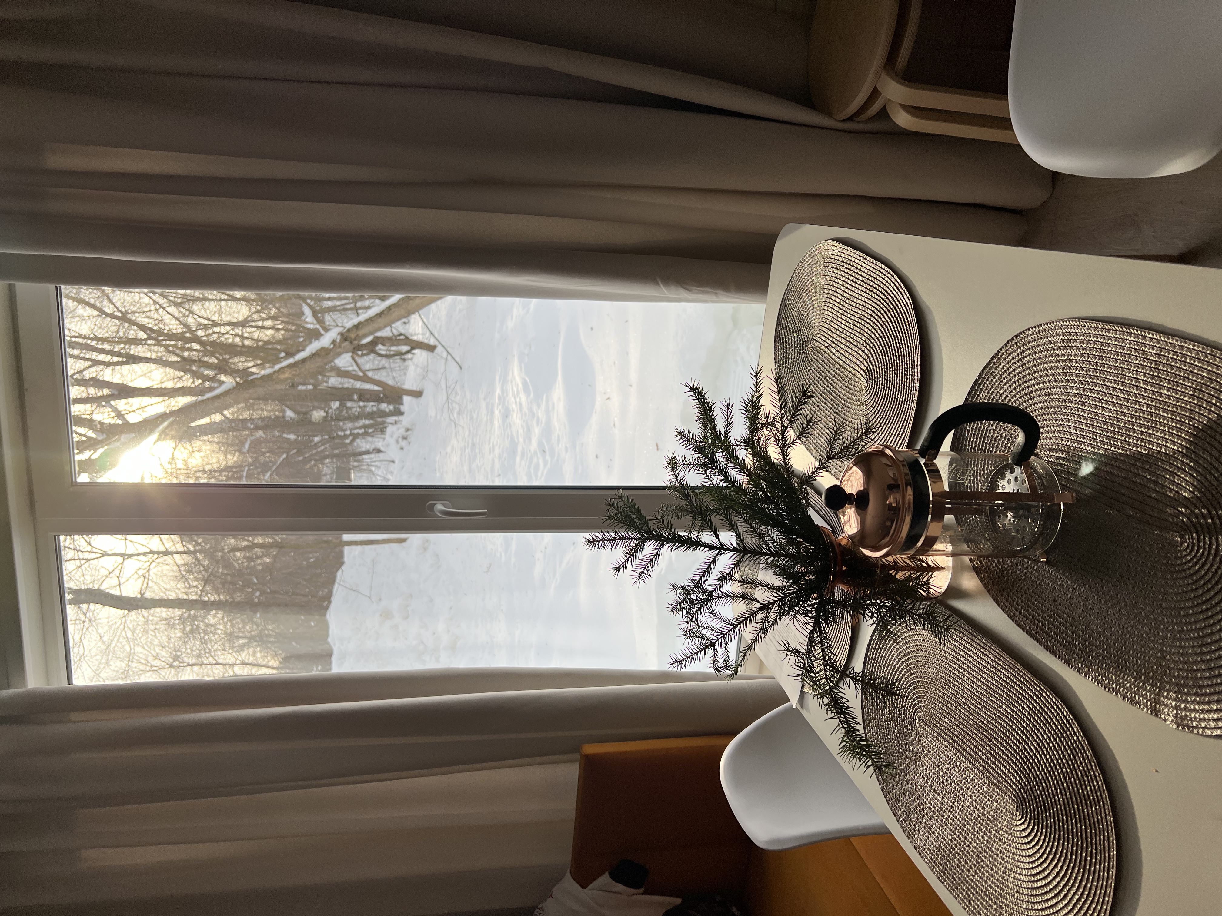 Фото Лес и Река