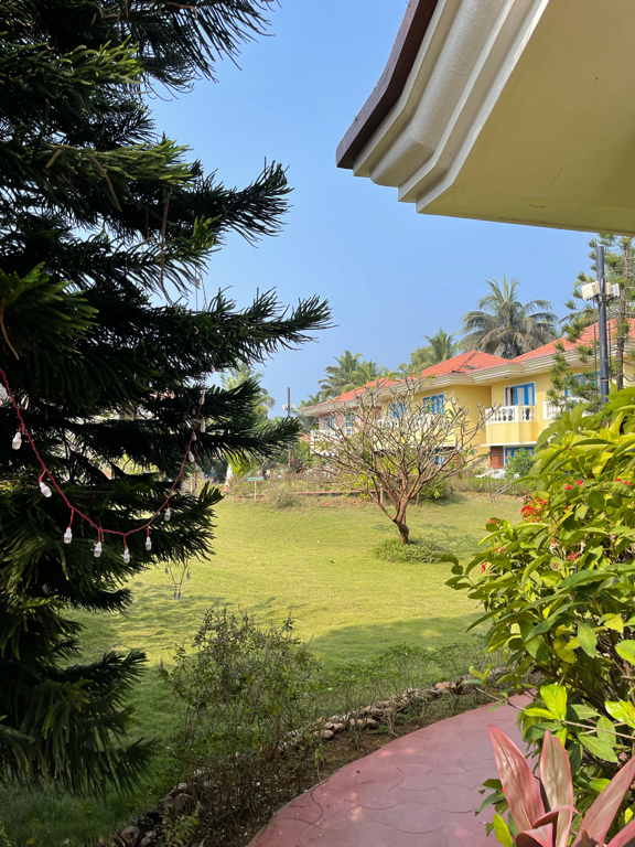 Фото Coconut Grove