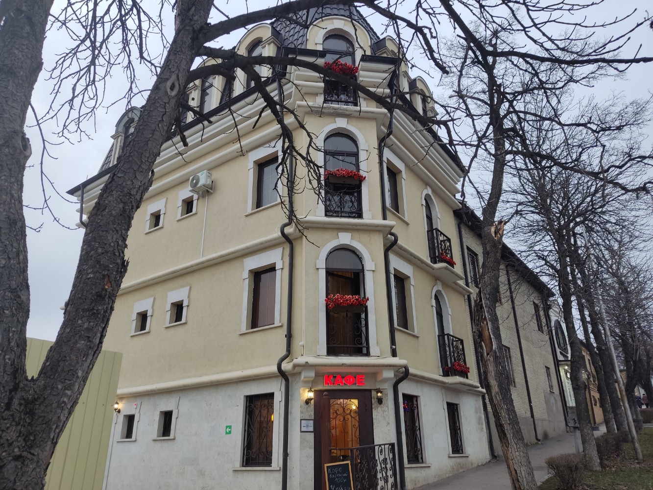 Фото Роза Кавказа