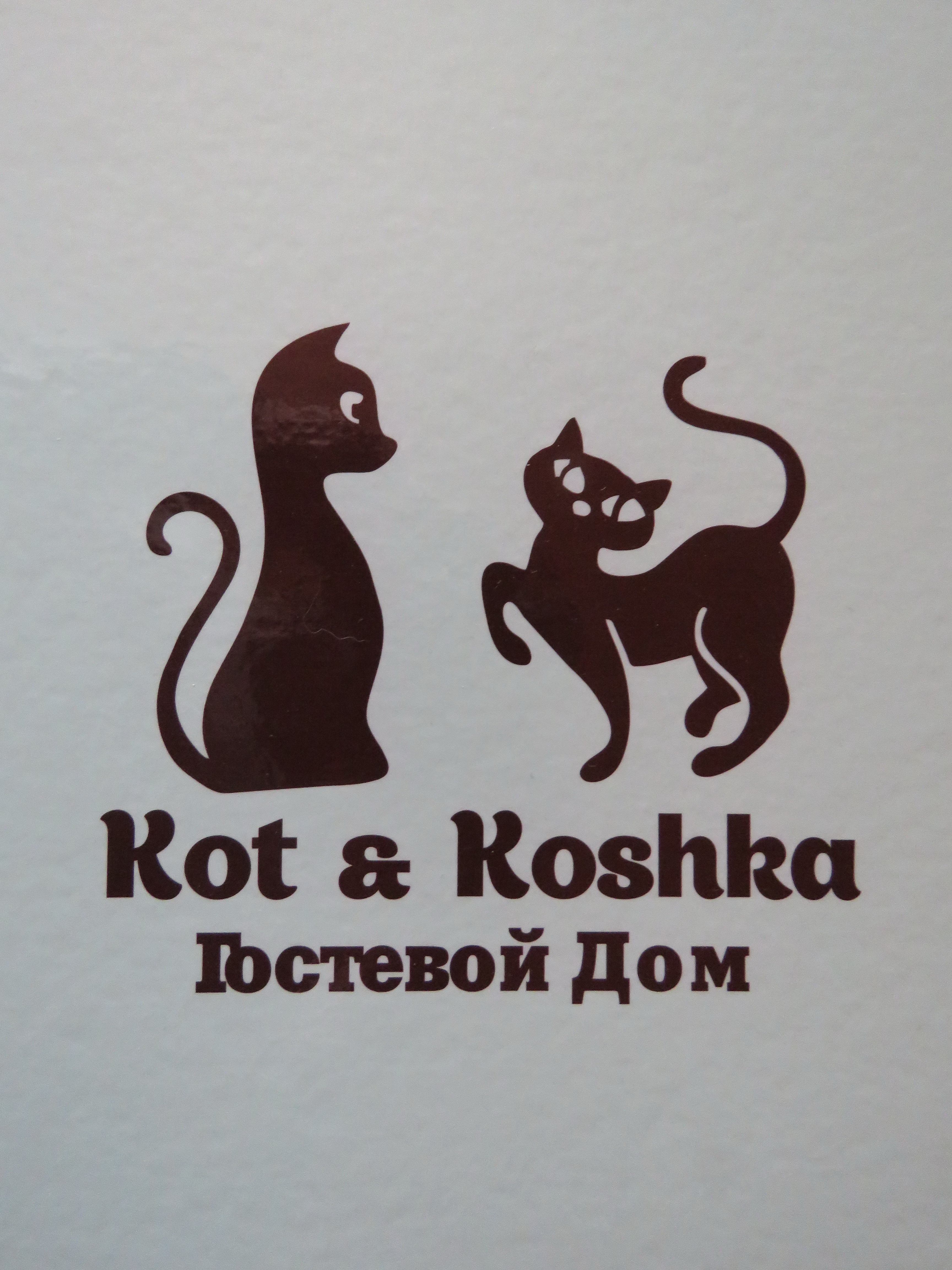 Фото Кот и кошка