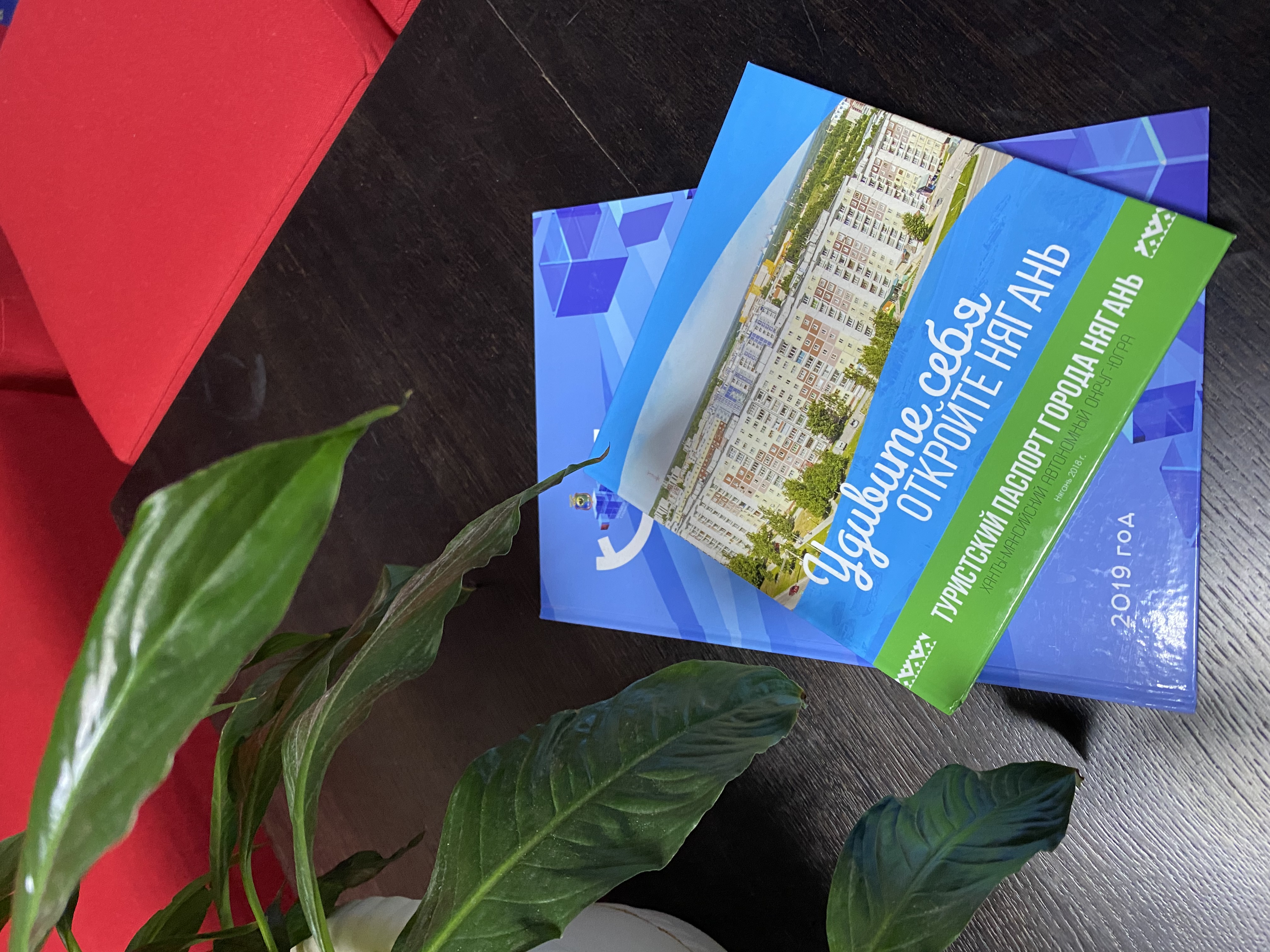 Фото Киевская