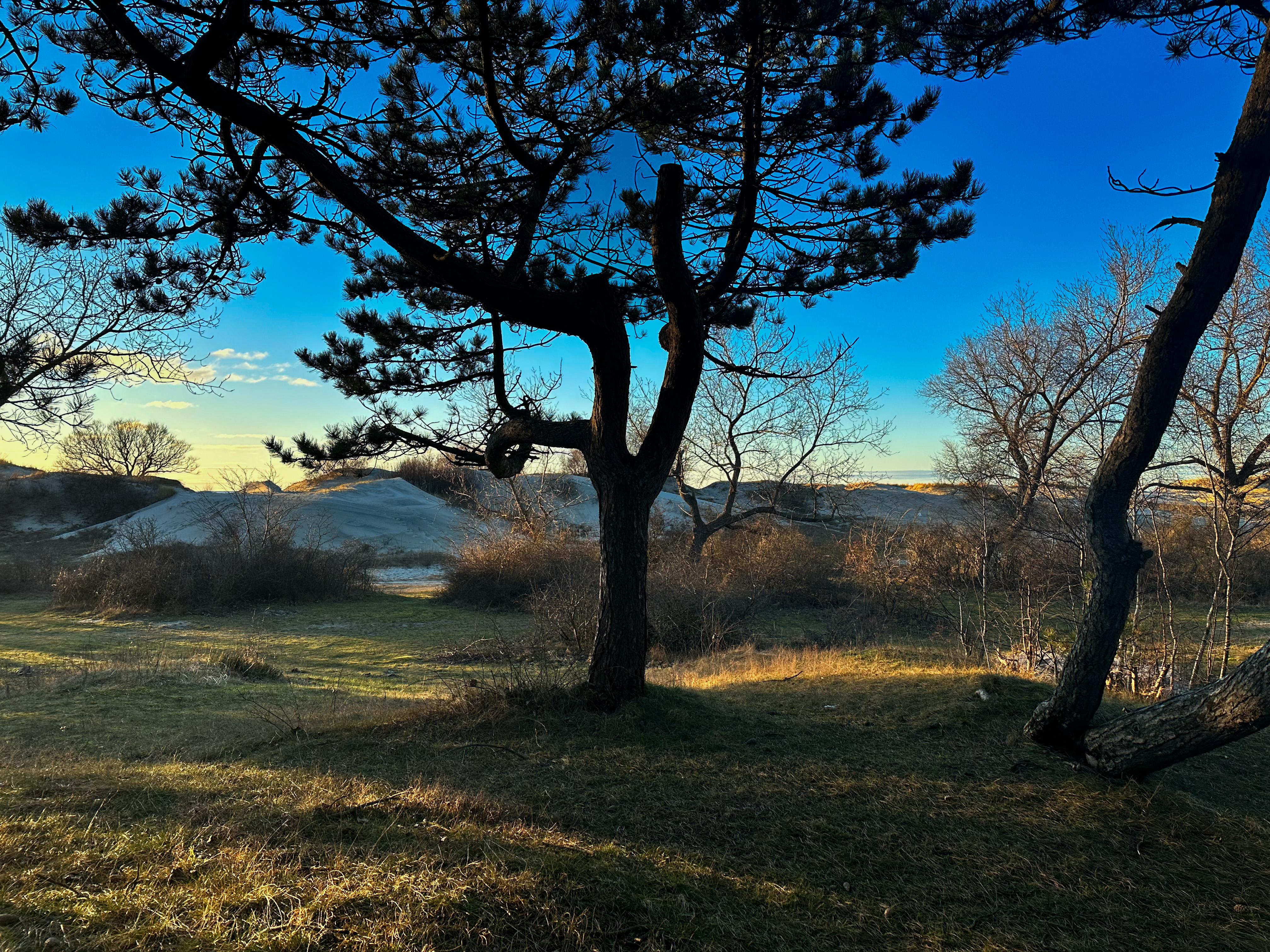 Фото Викингуд Глэмпинг