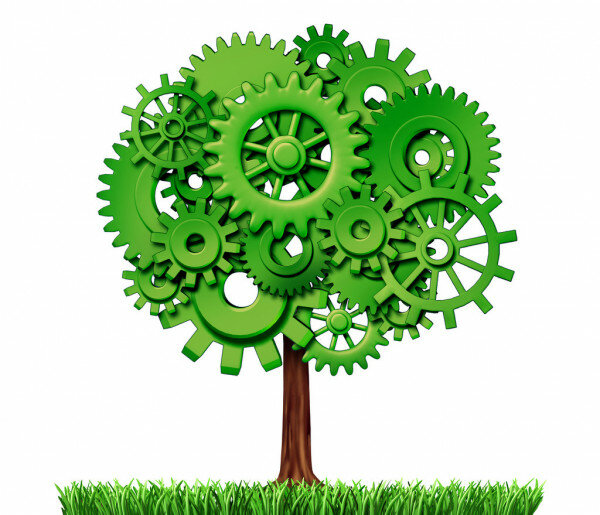 Environmental organization Ecodocument, Minsk, photo