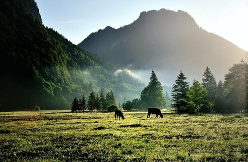 Гостиница Landhotel Böld and Restaurant Uhrmacher Oberammergau в Обераммергау
