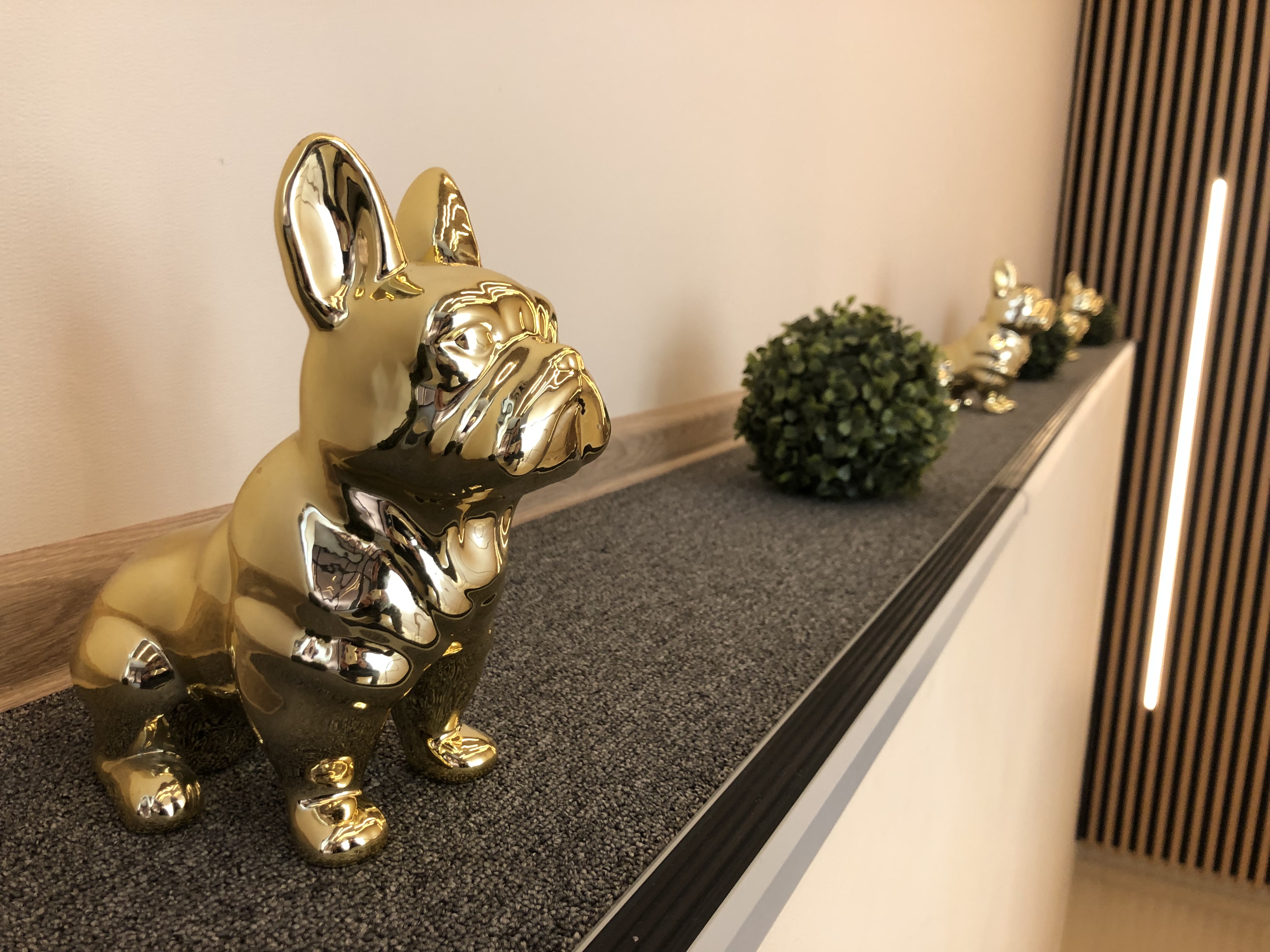 Фото Лакшми