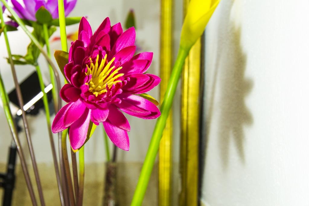 Фото Case Anselmo B&b