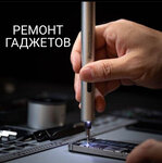 Gadget Service (Parkovaya Street, 11), phone repair