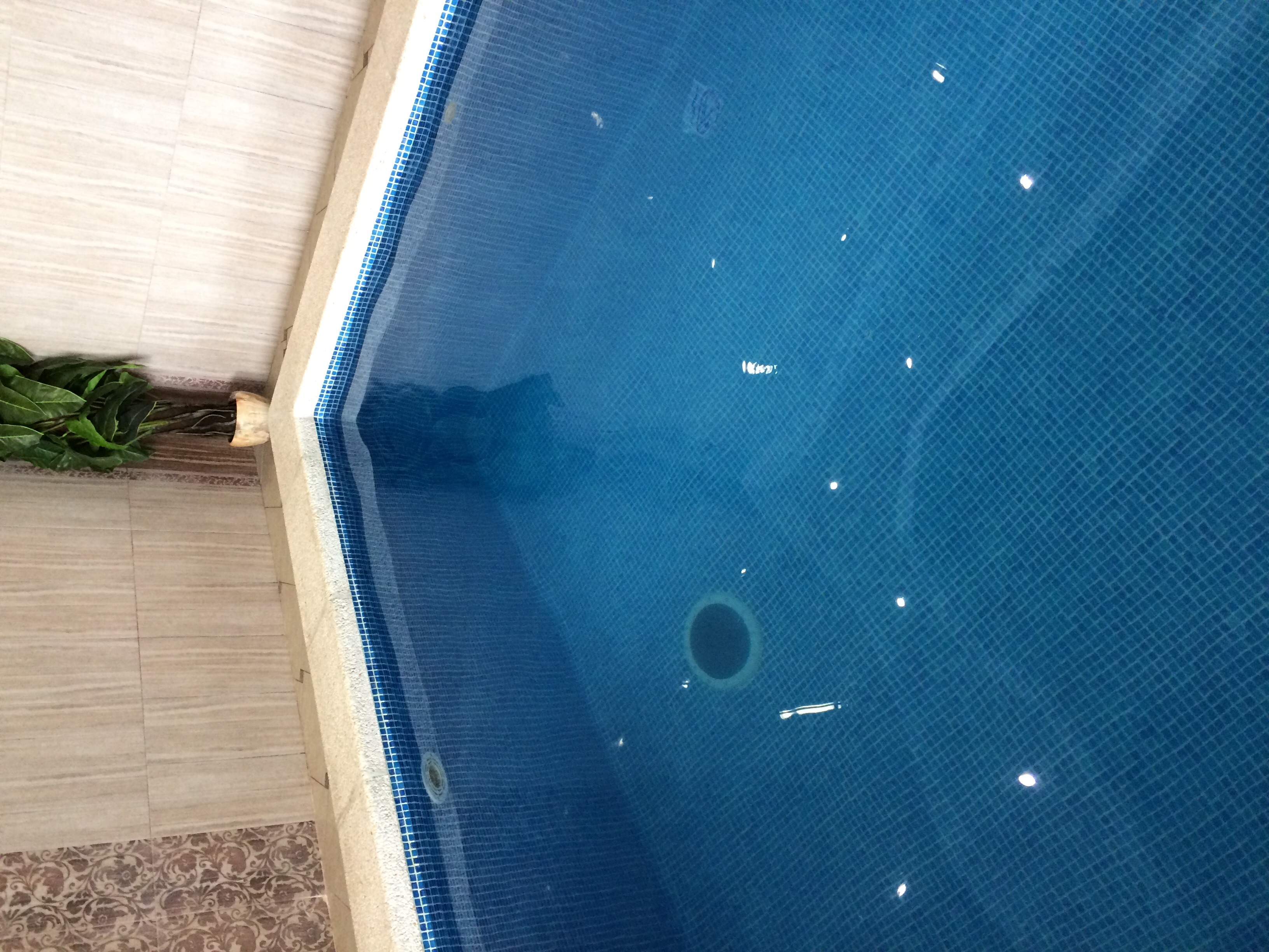 Фото Усадьба