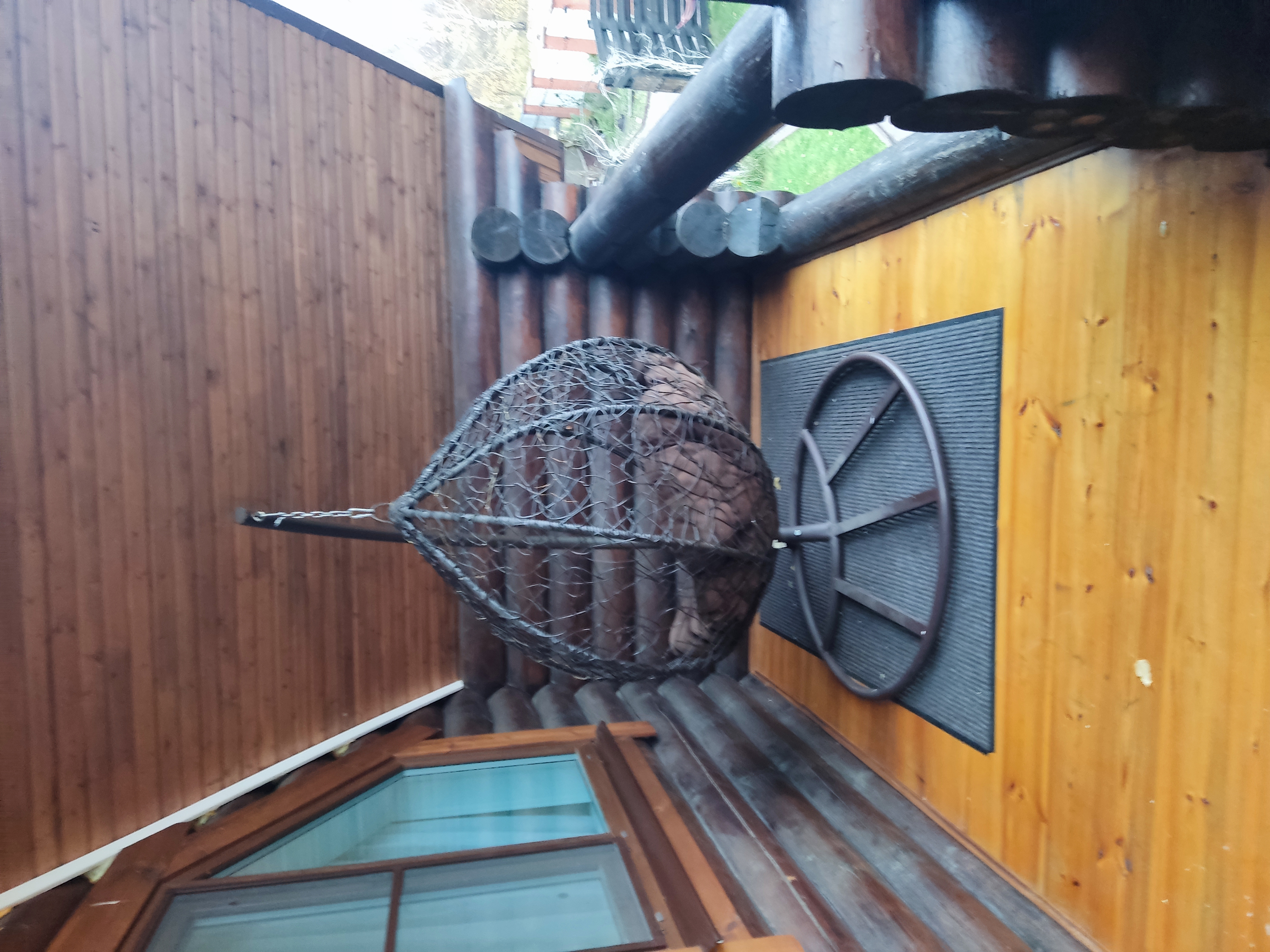 Фото Белоречье