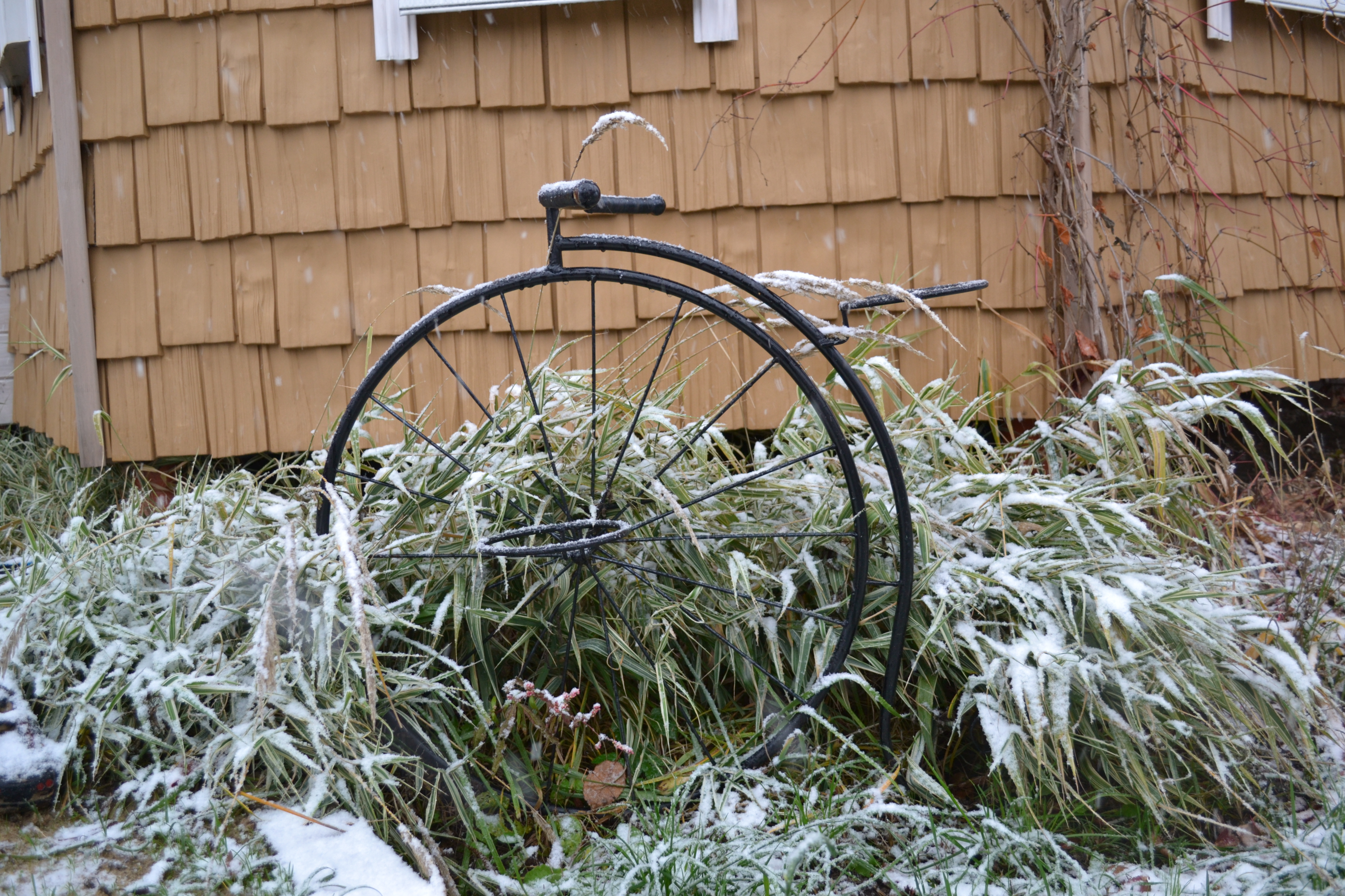 Фото Лисапедово