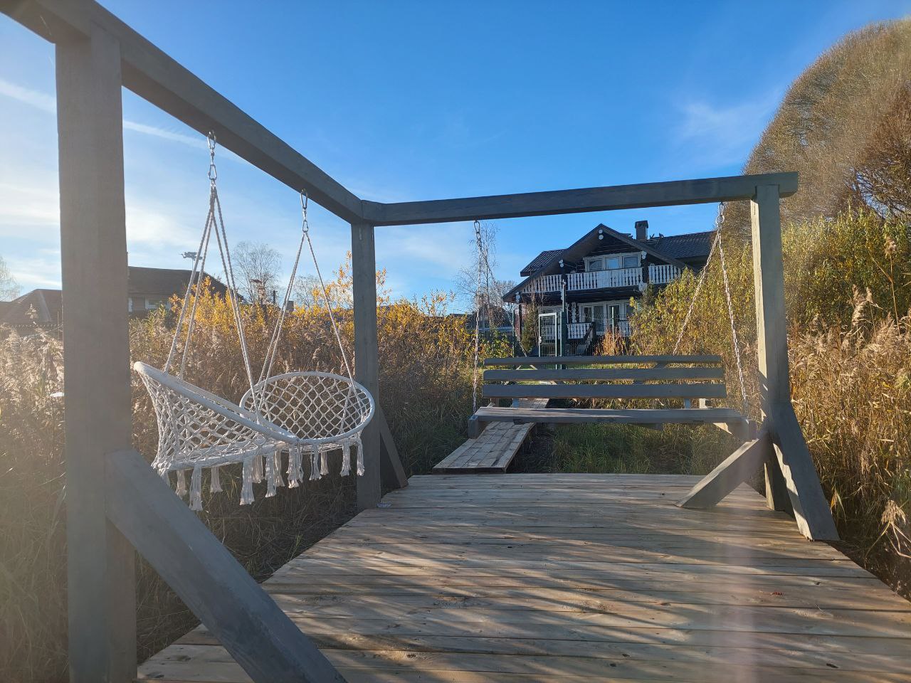 Фото Сорока