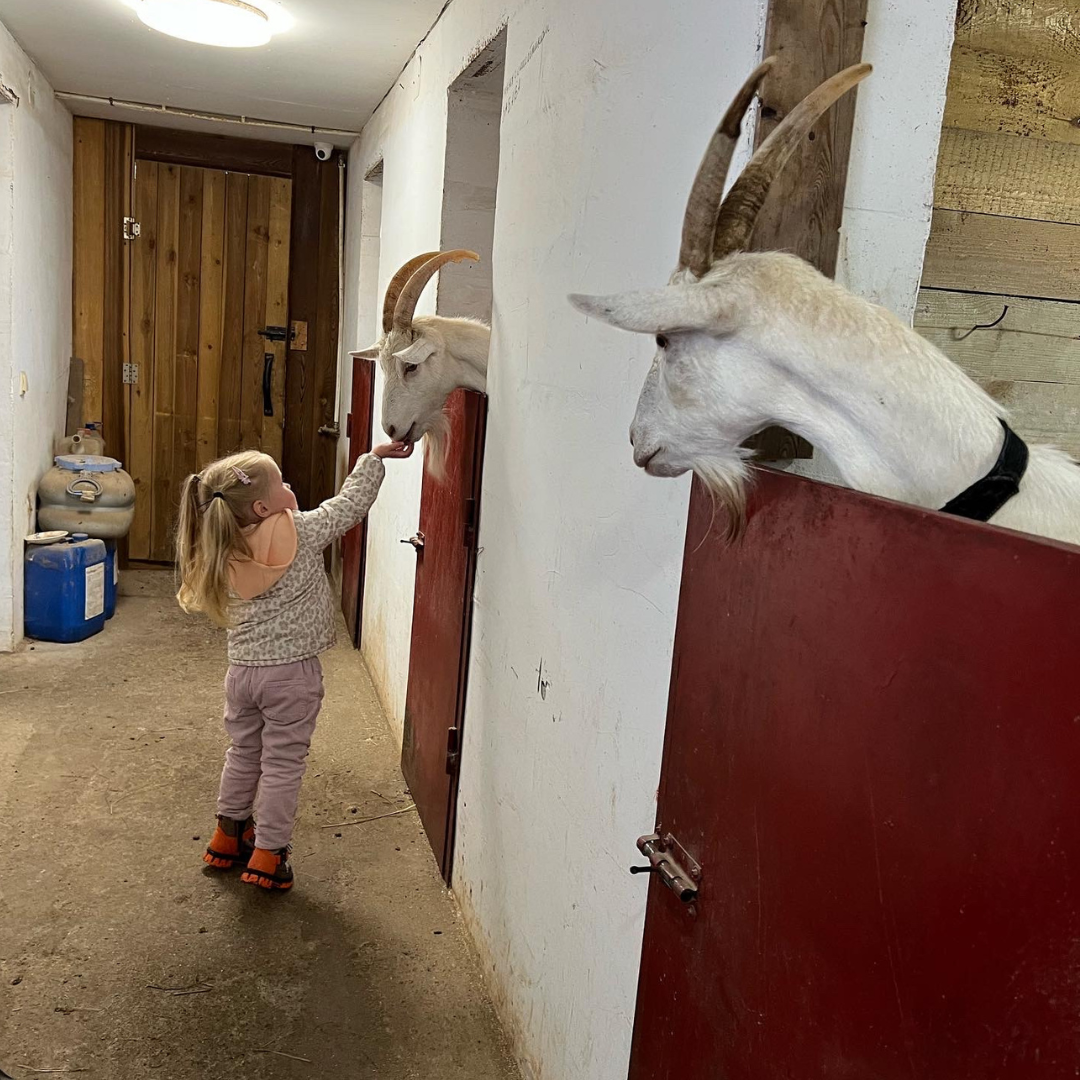 Фото Вилайоки АГРО