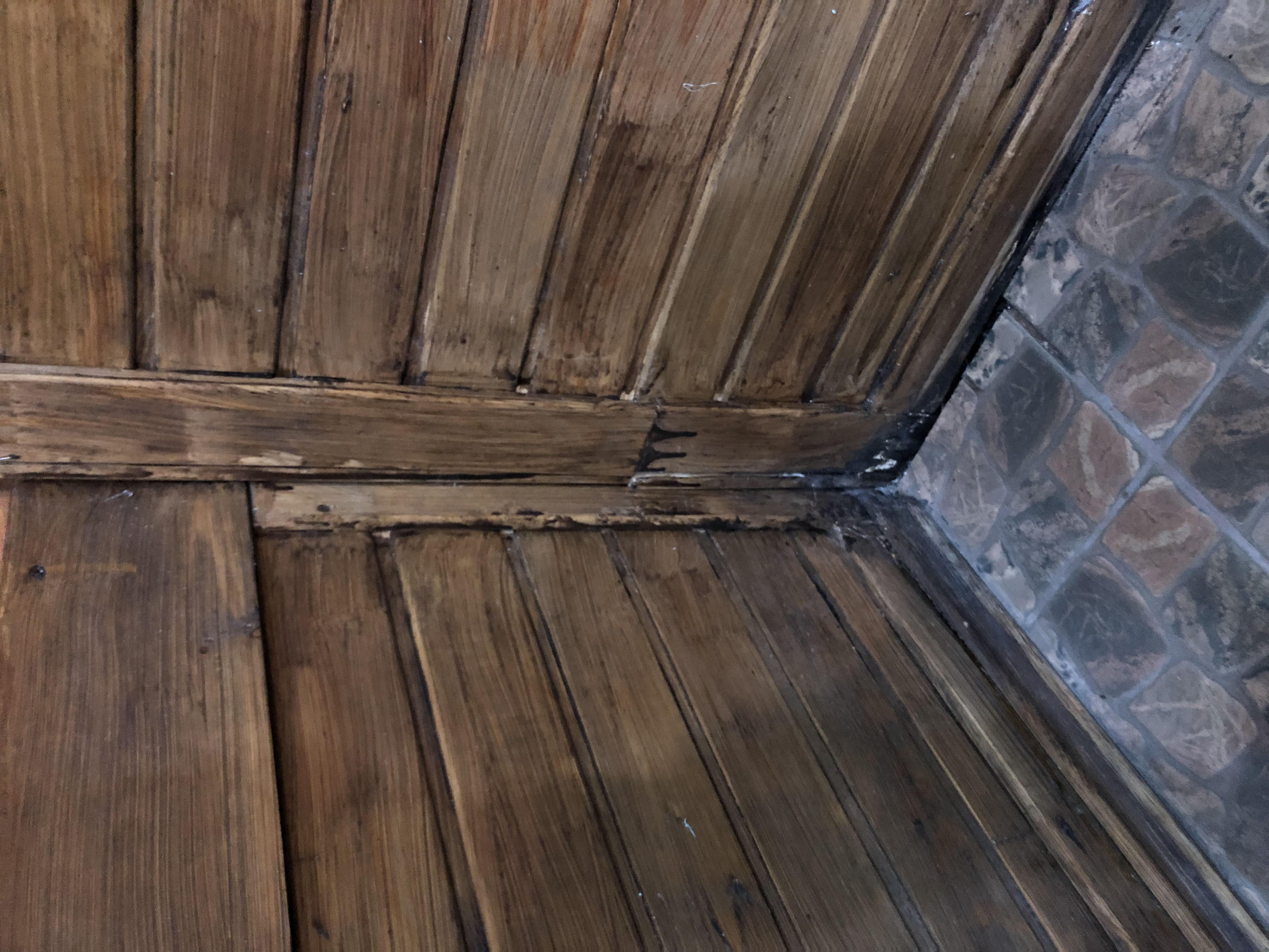 Фото Леснофф