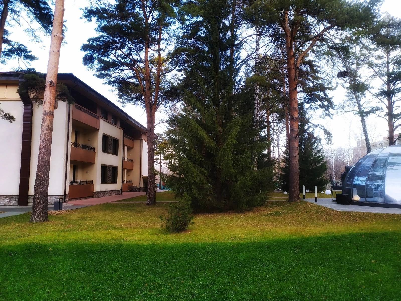 Фото Сосновый бор