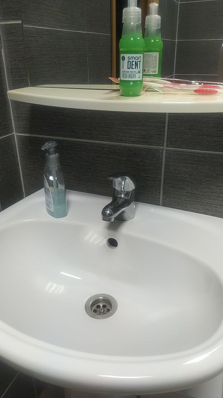 Фото Медведь